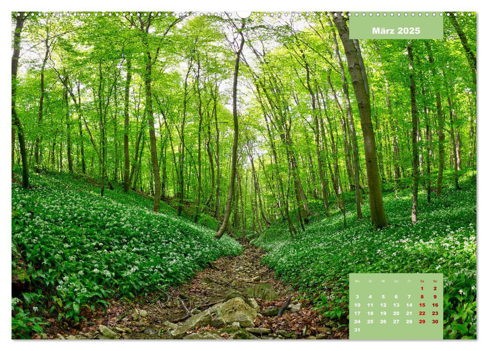 Farbenfrohe Heimat (CALVENDO Premium Wandkalender 2025)