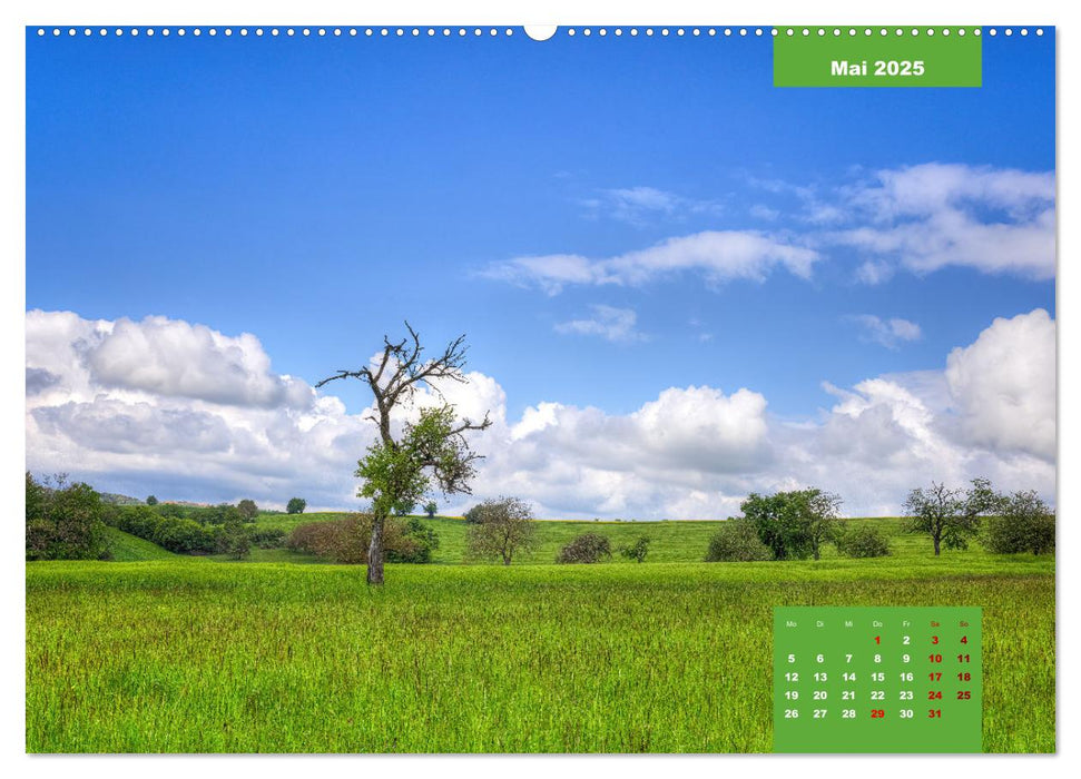 Farbenfrohe Heimat (CALVENDO Premium Wandkalender 2025)