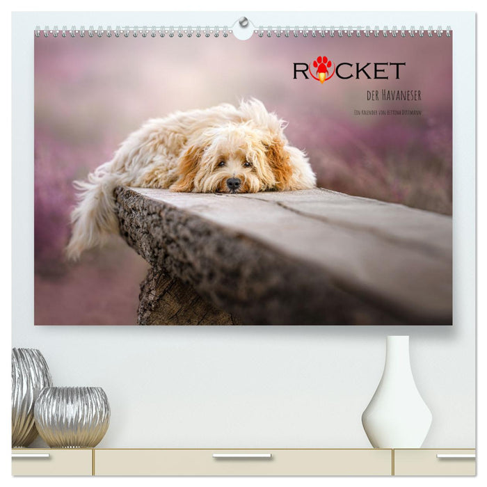 Rocket der Havaneser (CALVENDO Premium Wandkalender 2025)