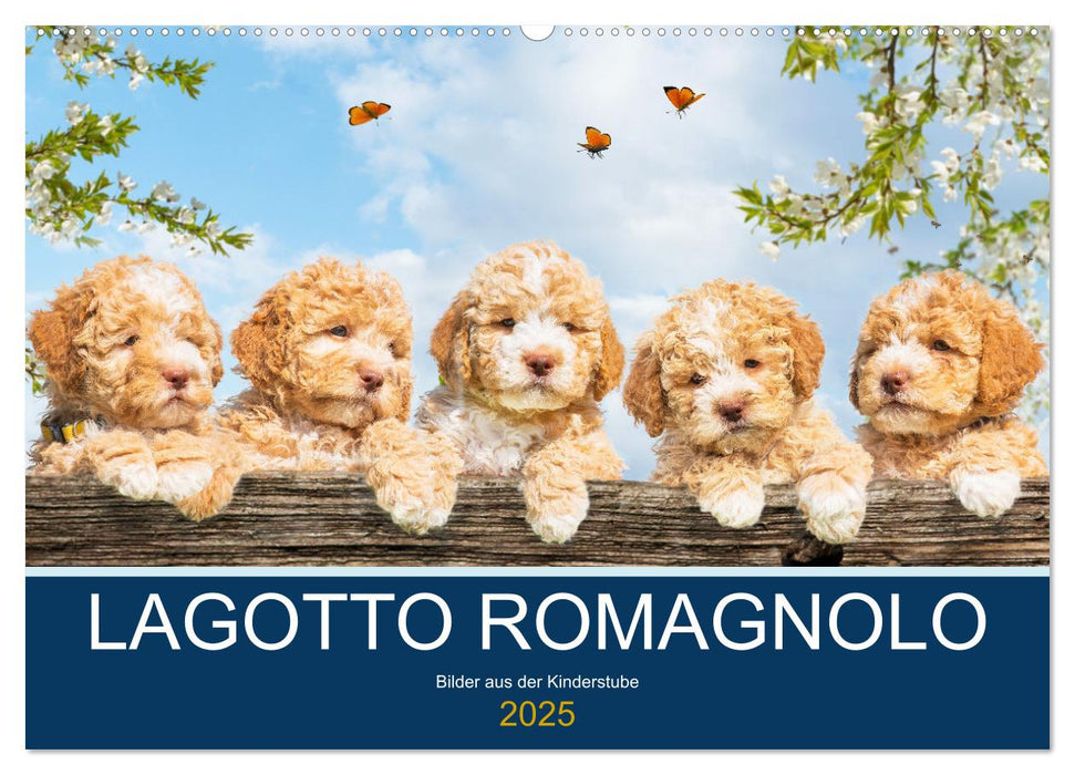 Lagotto Romagnolo - Bilder aus der Kinderstube (CALVENDO Wandkalender 2025)