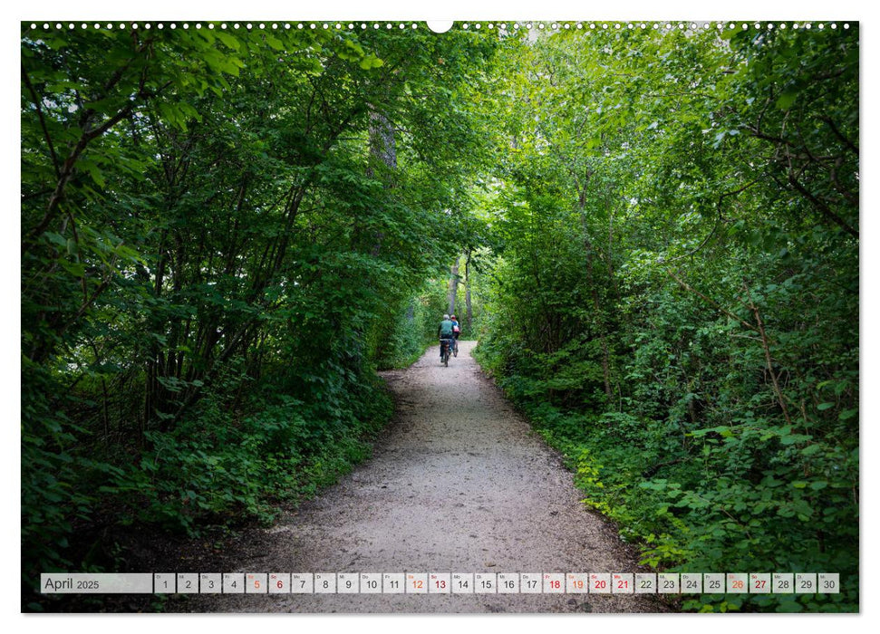 Der Chiemsee - Mit dem Rad im Bayerischen Alpenvorland (CALVENDO Premium Wandkalender 2025)