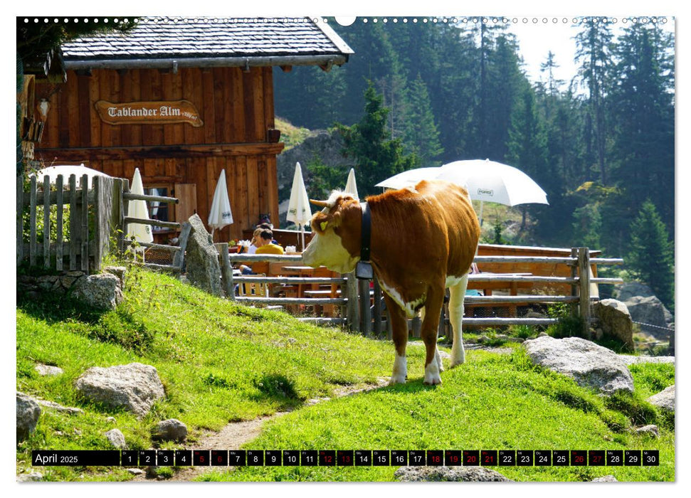 Meraner Höhenweg von Meran bis Katharinaberg (CALVENDO Wandkalender 2025)