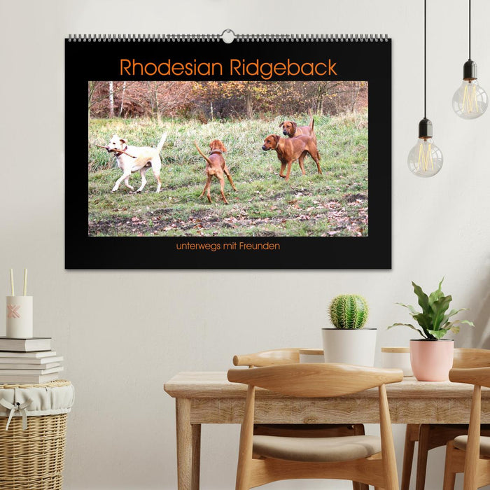 Rhodesian Ridgeback unterwegs mit Freunden (CALVENDO Wandkalender 2025)