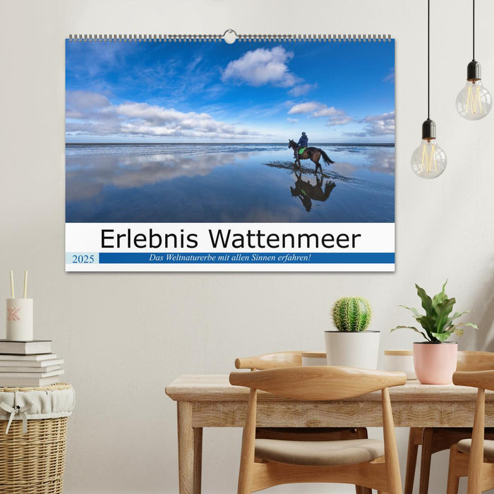 Erlebnis Wattenmeer (CALVENDO Wandkalender 2025)