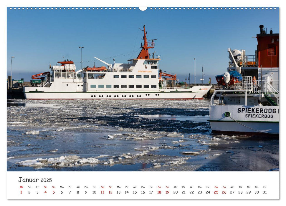 Erlebnis Wattenmeer (CALVENDO Wandkalender 2025)