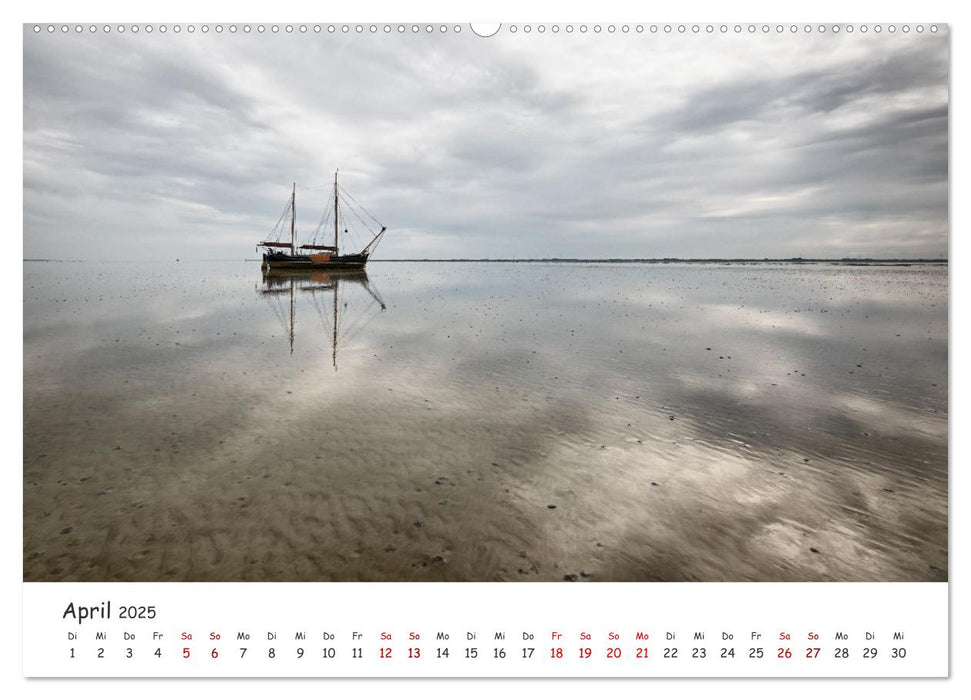 Erlebnis Wattenmeer (CALVENDO Wandkalender 2025)