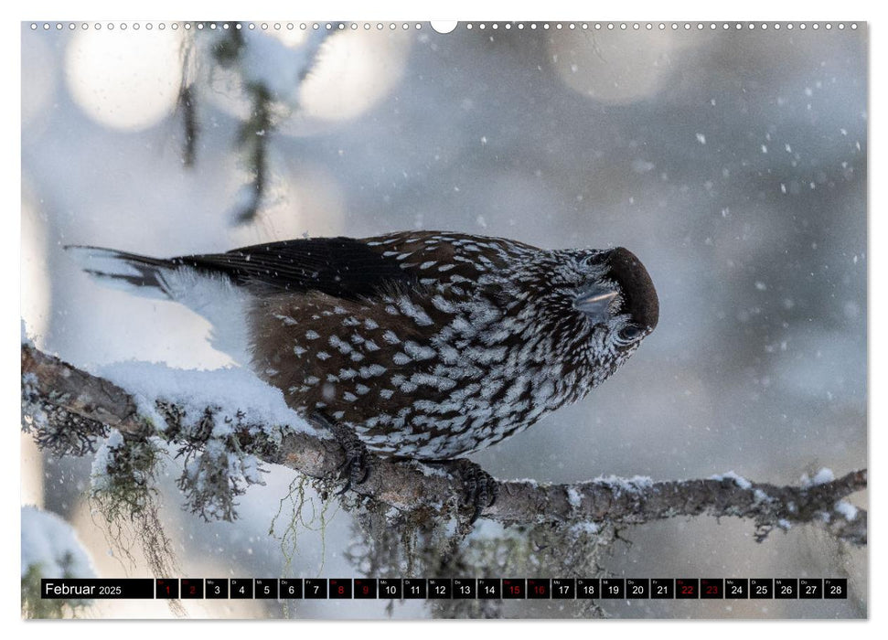 Faszinierendes Oberengadin (CALVENDO Premium Wandkalender 2025)