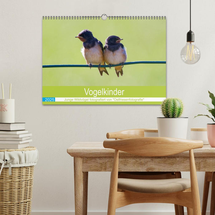 Vogelkinder - Junge Wildvögel (CALVENDO Wandkalender 2025)