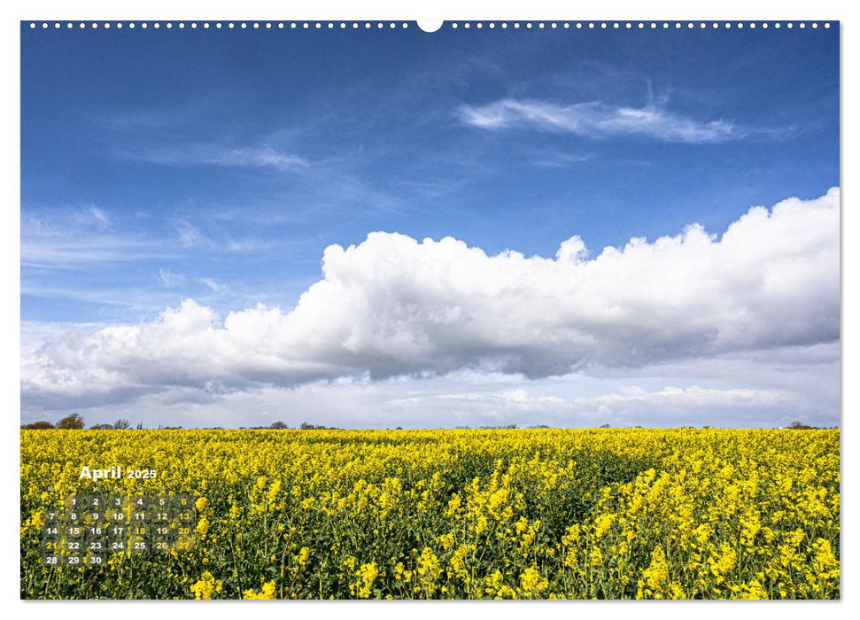 Schleswig-Holstein im Frühling (CALVENDO Premium Wandkalender 2025)