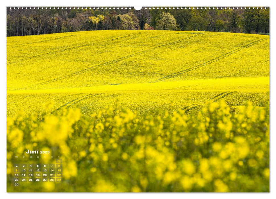 Schleswig-Holstein im Frühling (CALVENDO Premium Wandkalender 2025)