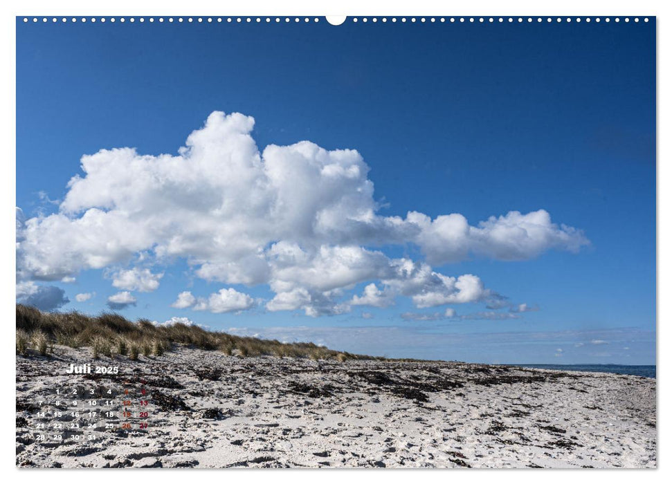 Schleswig-Holstein im Frühling (CALVENDO Premium Wandkalender 2025)