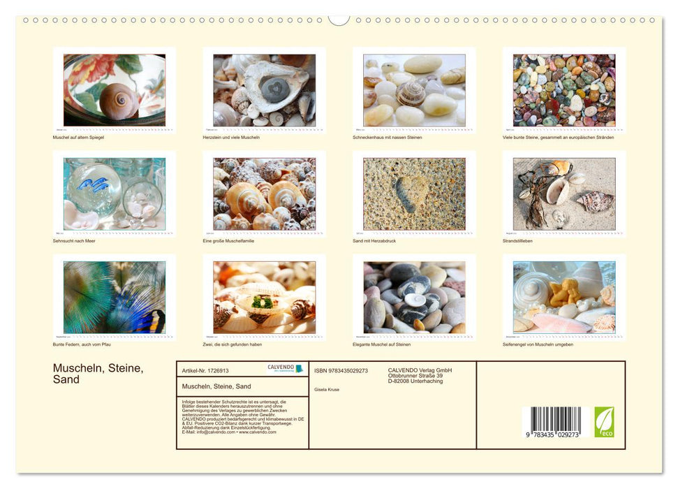 Muscheln, Steine, Sand (CALVENDO Premium Wandkalender 2025)