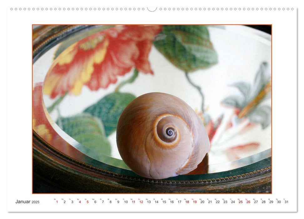 Muscheln, Steine, Sand (CALVENDO Premium Wandkalender 2025)