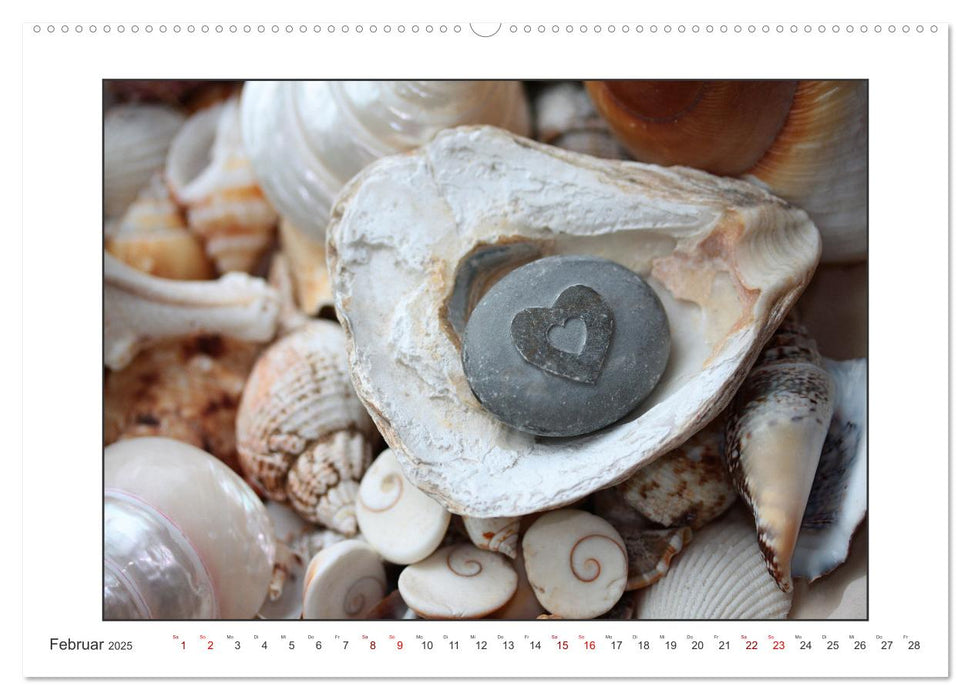 Muscheln, Steine, Sand (CALVENDO Premium Wandkalender 2025)