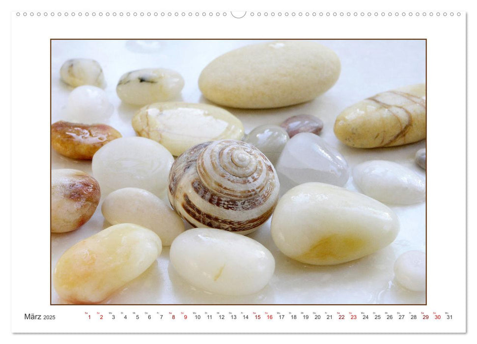 Muscheln, Steine, Sand (CALVENDO Premium Wandkalender 2025)