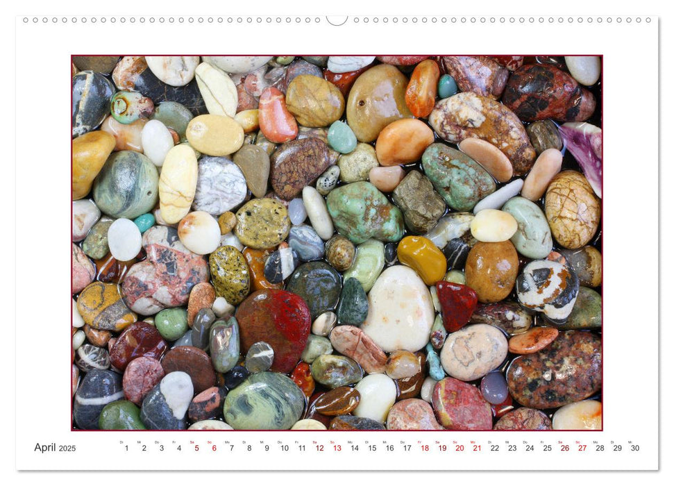 Muscheln, Steine, Sand (CALVENDO Premium Wandkalender 2025)