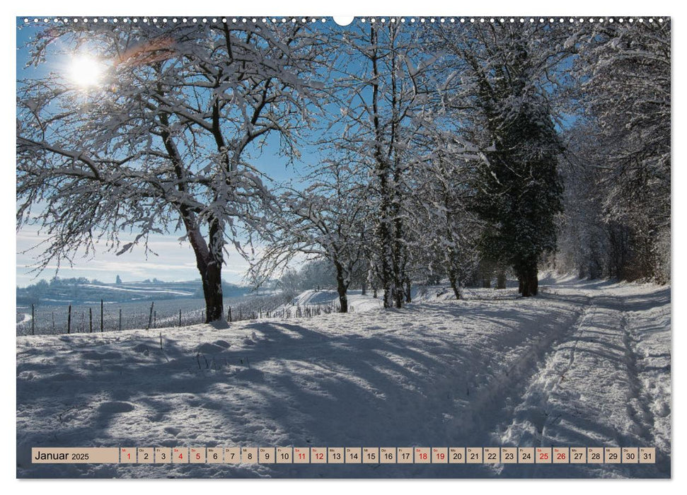 Ortenau - die badische Toskana (CALVENDO Premium Wandkalender 2025)