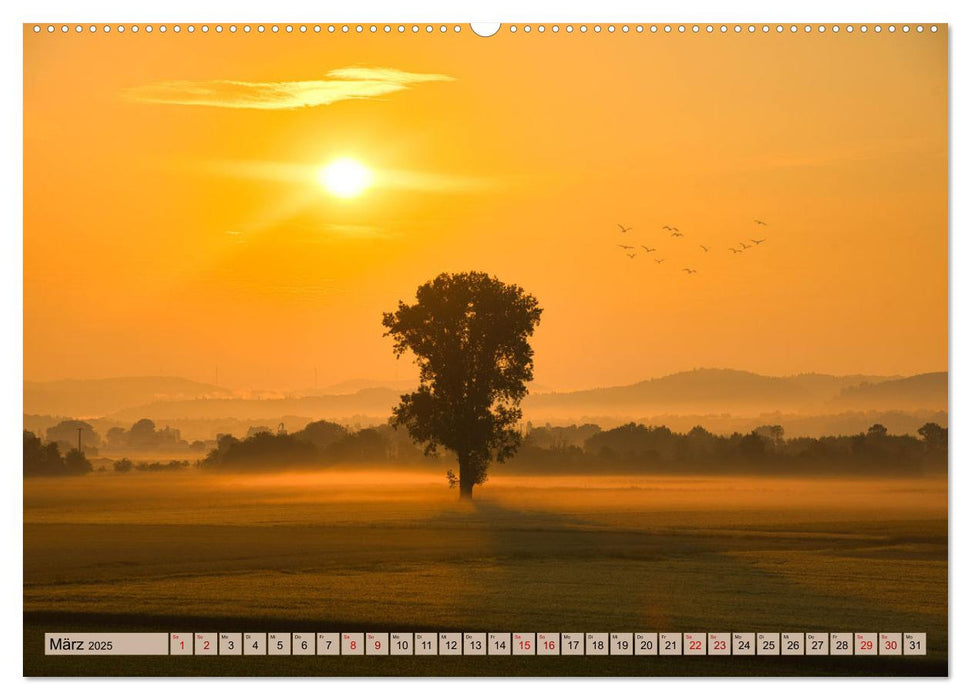 Ortenau - die badische Toskana (CALVENDO Premium Wandkalender 2025)