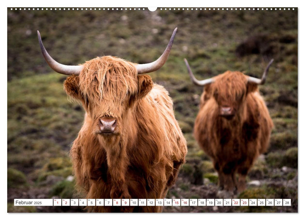 Isle of Skye - Eine Reise durch den Nordwesten Schottlands (CALVENDO Premium Wandkalender 2025)