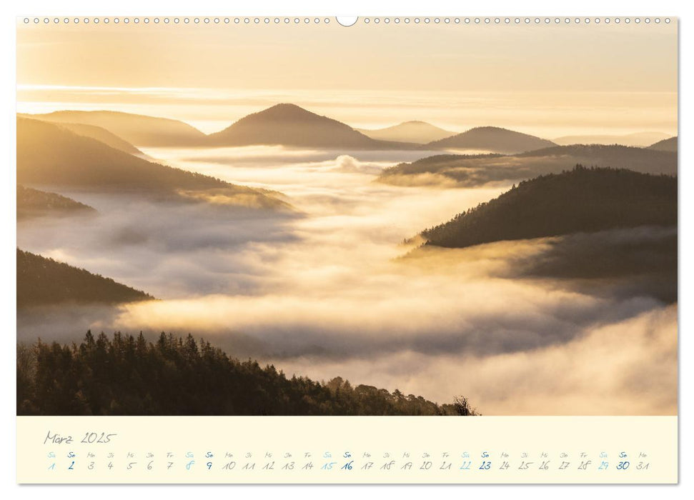 Abwechslungsreiche Pfalz (CALVENDO Premium Wandkalender 2025)