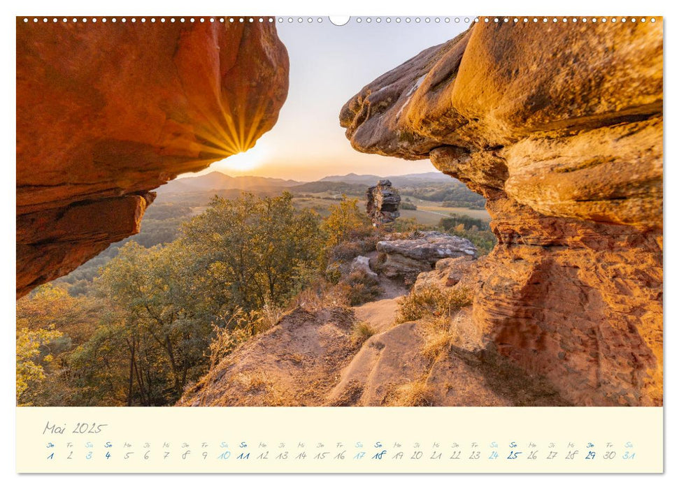 Abwechslungsreiche Pfalz (CALVENDO Premium Wandkalender 2025)