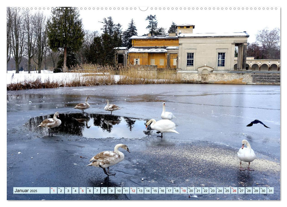 Im Park von Sanssouci - Spaziergang durch die Jahreszeiten (CALVENDO Premium Wandkalender 2025)