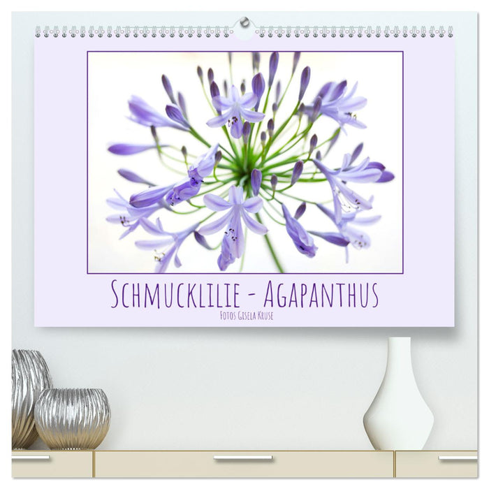 Schmucklilie - Agapanthus (CALVENDO Premium Wandkalender 2025)