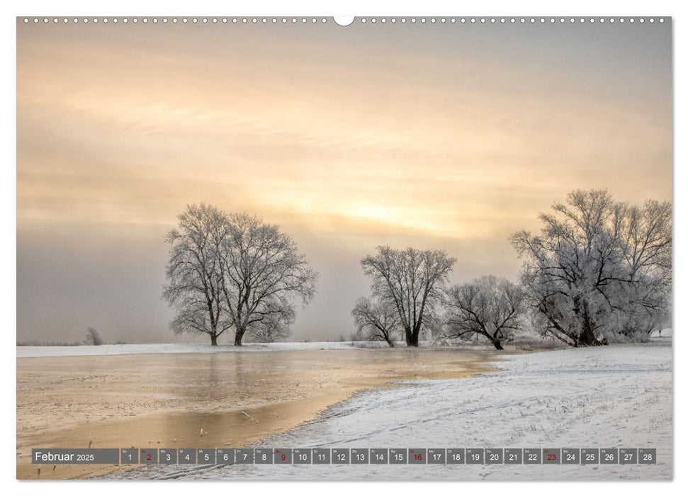 Naturlandschaft Elbe - Im Wechsel der Jahreszeiten (CALVENDO Premium Wandkalender 2025)