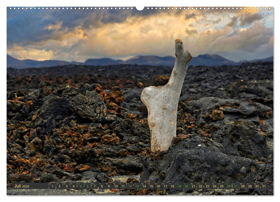 Lanzarote Feuerinsel im Atlantik (CALVENDO Premium Wandkalender 2025)