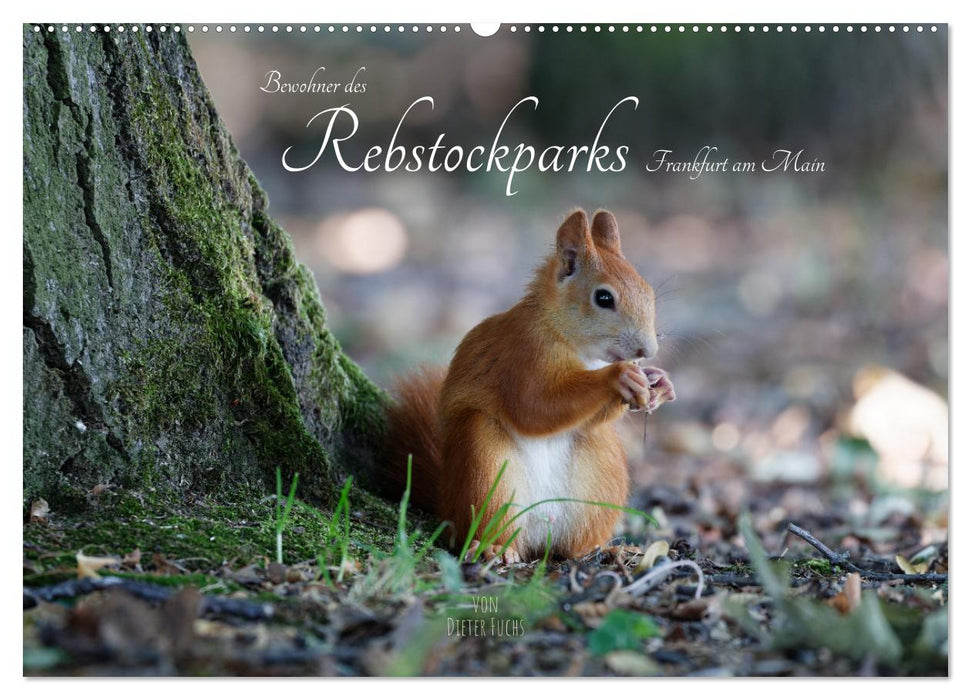 Bewohner des Rebstockparks Frankfurt am Main (CALVENDO Wandkalender 2025)