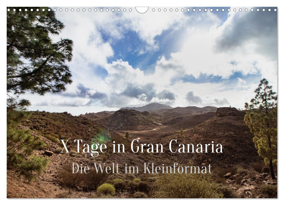 X Tage Gran Canaria – Die Welt im Kleinformat (CALVENDO Wandkalender 2025)