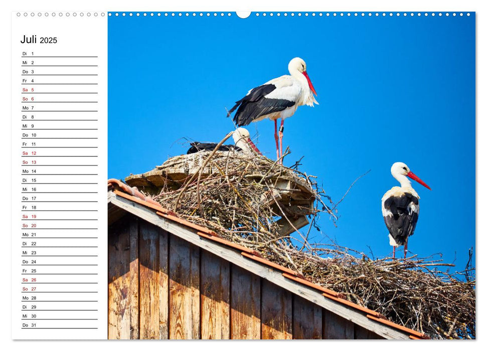 Überlingen - Mein Freizeitplaner (CALVENDO Premium Wandkalender 2025)