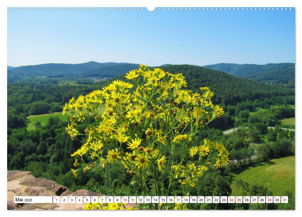 Südliche Weinstraße und Südwestpfalz (CALVENDO Premium Wandkalender 2025)