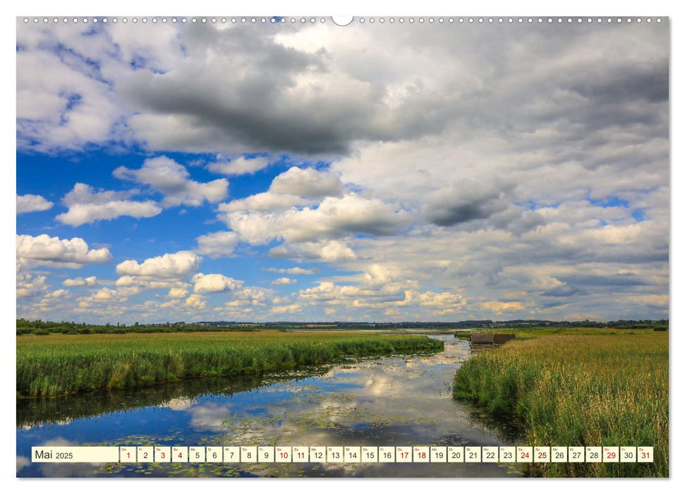 Pfrunger-Burgweiler Ried und Federsee (CALVENDO Premium Wandkalender 2025)