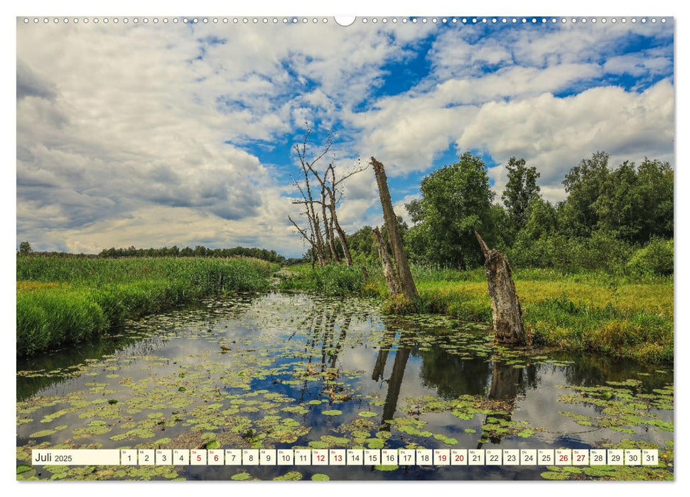 Pfrunger-Burgweiler Ried und Federsee (CALVENDO Premium Wandkalender 2025)