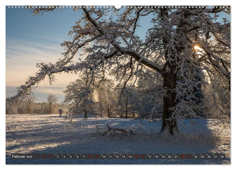 Naturschätze der Südwestalb (CALVENDO Premium Wandkalender 2025)