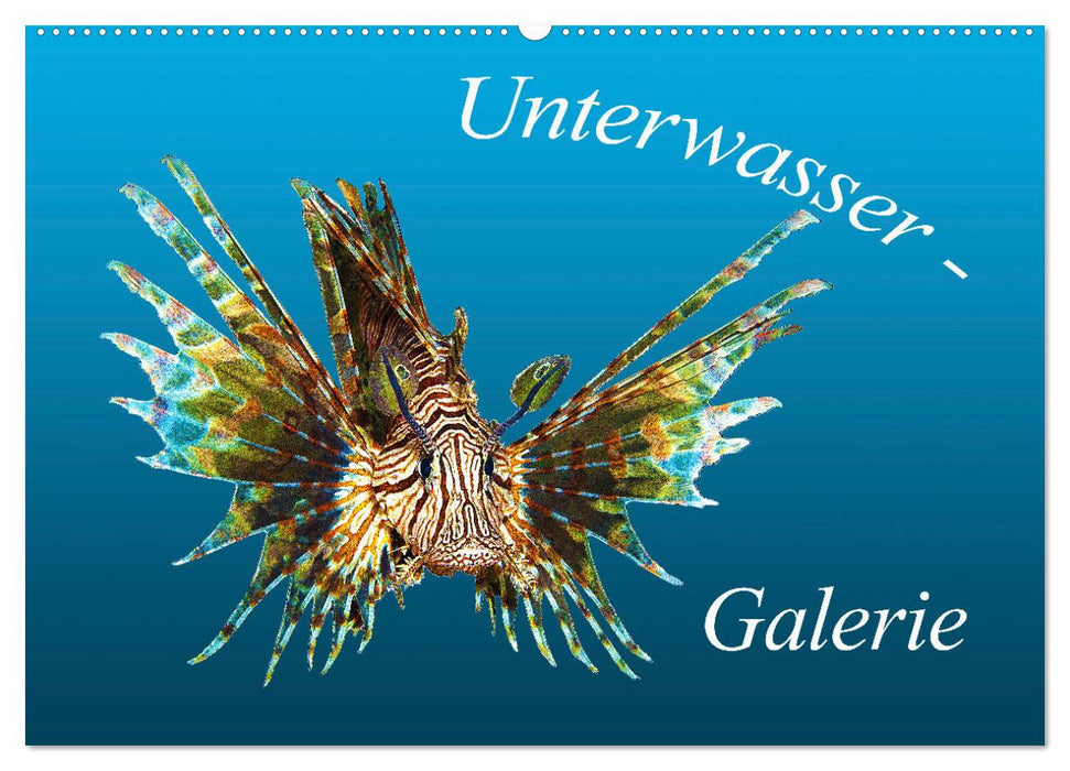 Unterwasser-Galerie (CALVENDO Wandkalender 2025)