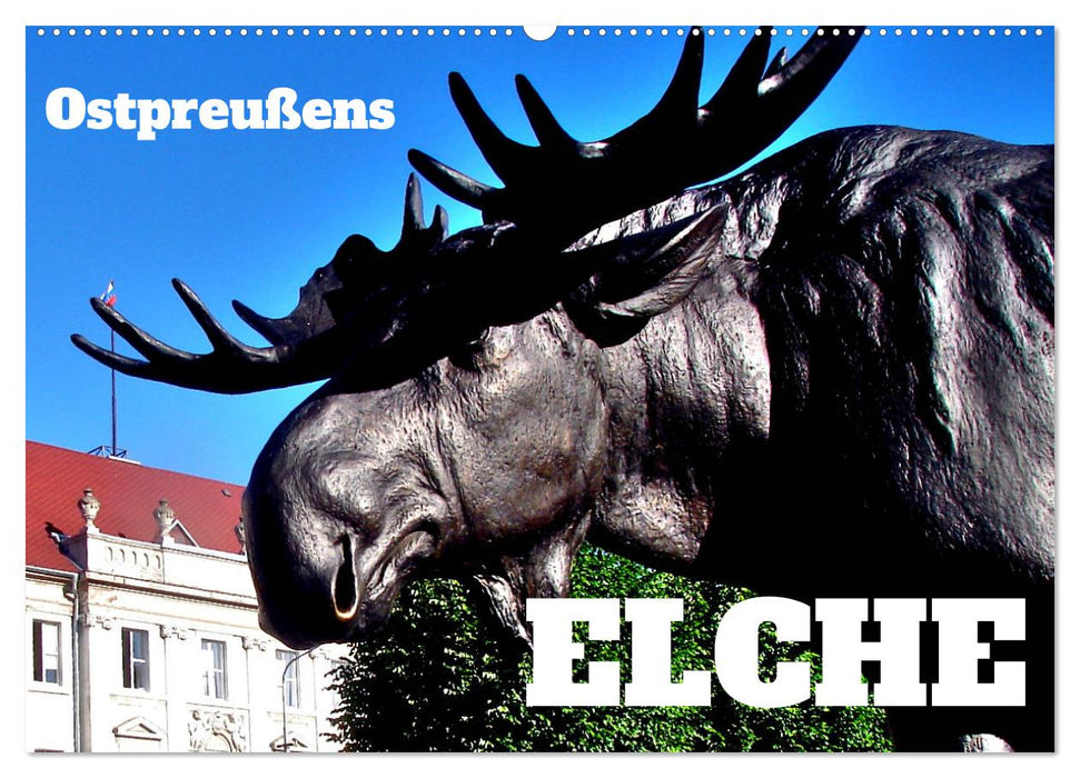 Ostpreußens Elche (CALVENDO Wandkalender 2025)