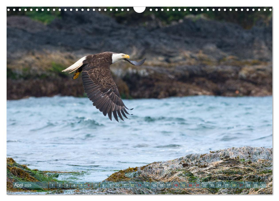 Vancouver Island - Insel zum Träumen (CALVENDO Wandkalender 2025)