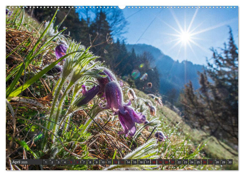 Naturjuwel Obere Donau (CALVENDO Premium Wandkalender 2025)