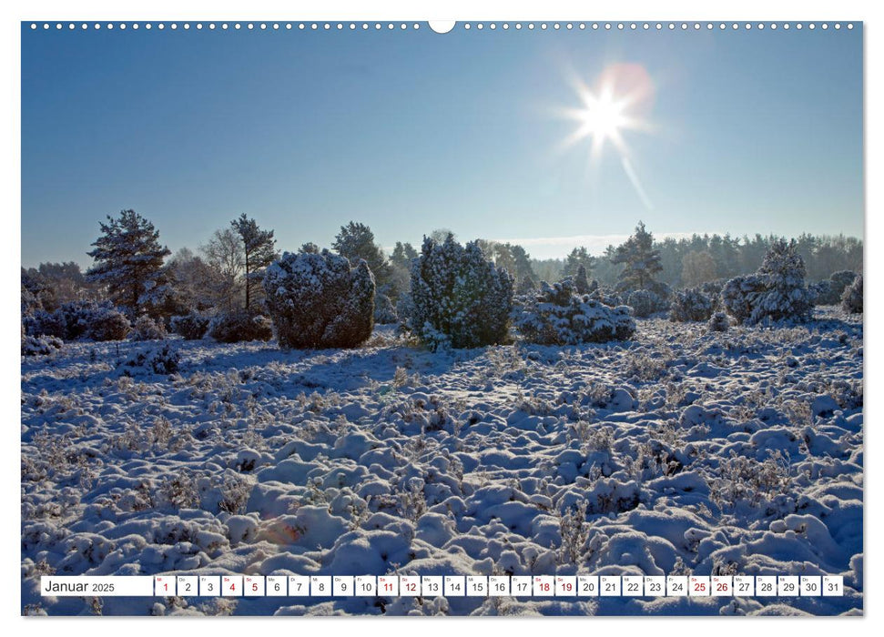 Die Lüneburger Heide - Ausflugsziel im Norden (CALVENDO Premium Wandkalender 2025)