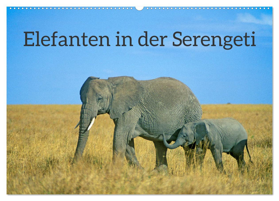 Elefanten in der Serengeti (CALVENDO Wandkalender 2025)