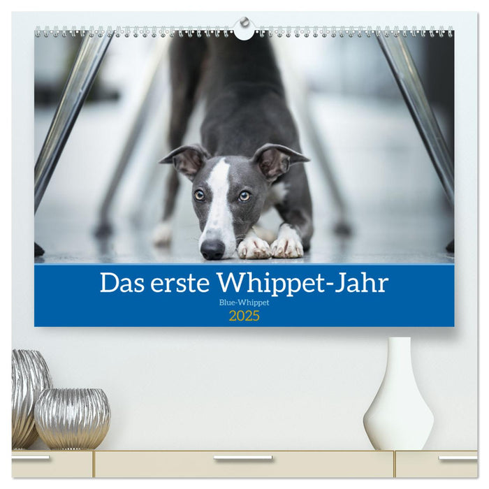 Das erste Whippet-Jahr (CALVENDO Premium Wandkalender 2025)