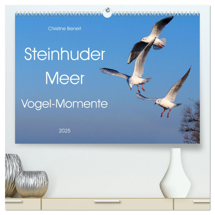 Steinhuder Meer, Vogel-Momente (CALVENDO Premium Wandkalender 2025)