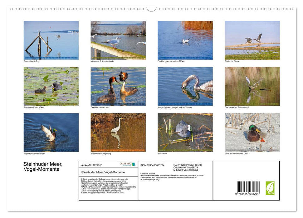 Steinhuder Meer, Vogel-Momente (CALVENDO Premium Wandkalender 2025)