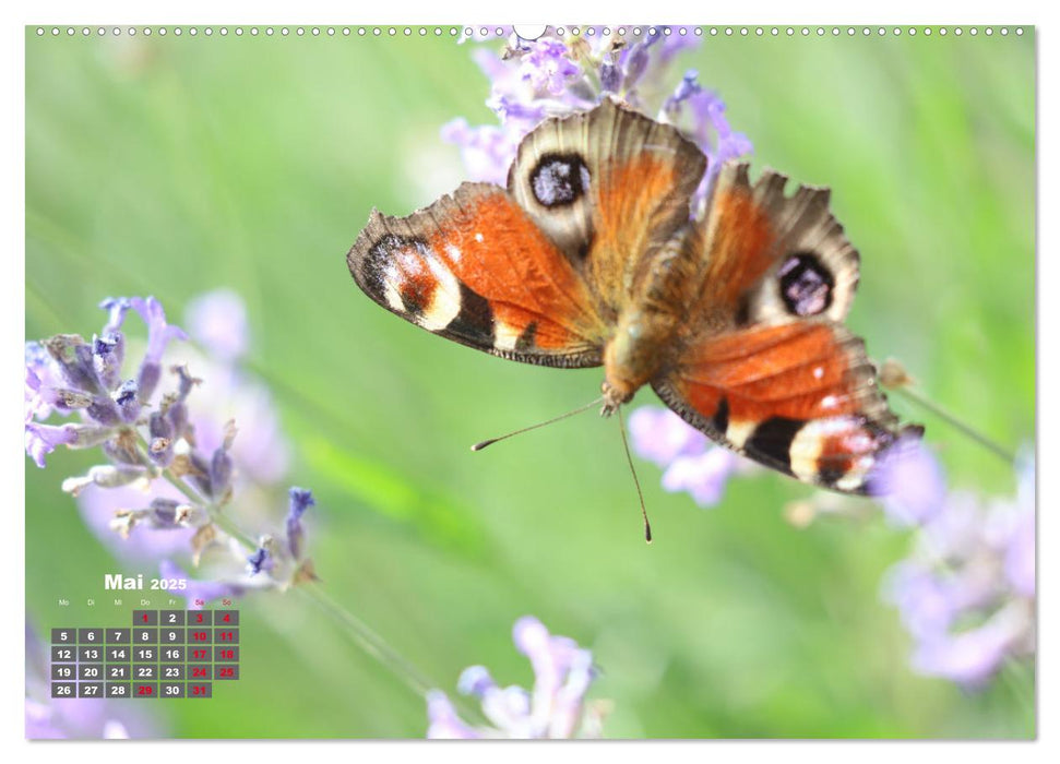 Sommer am Teich (CALVENDO Premium Wandkalender 2025)