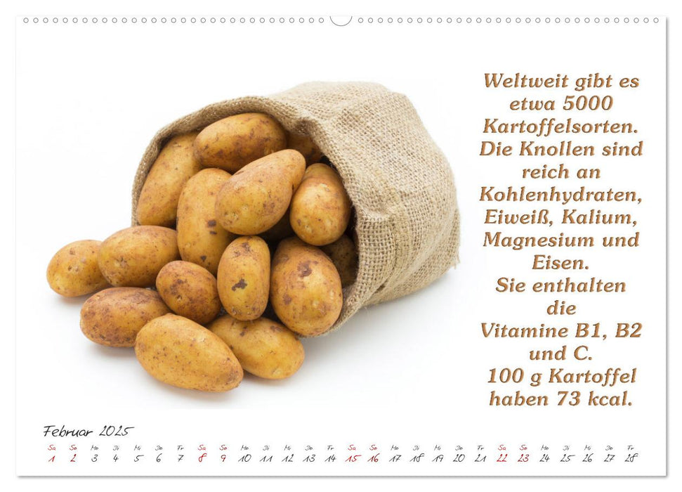 Gesund durchs Jahr (CALVENDO Premium Wandkalender 2025)