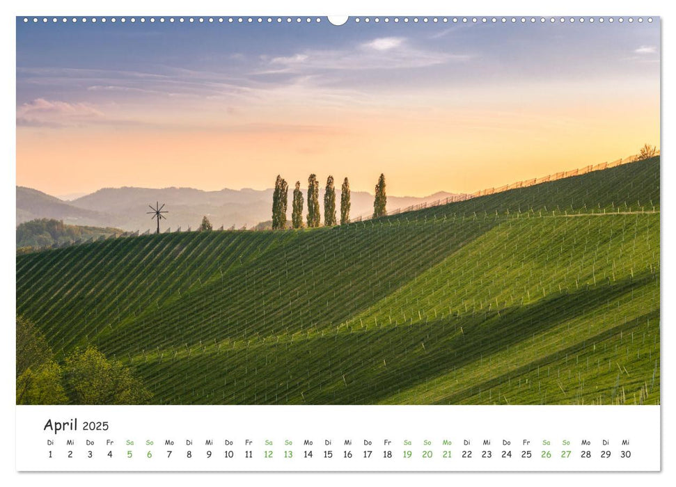 Südsteiermark365 (CALVENDO Premium Wandkalender 2025)