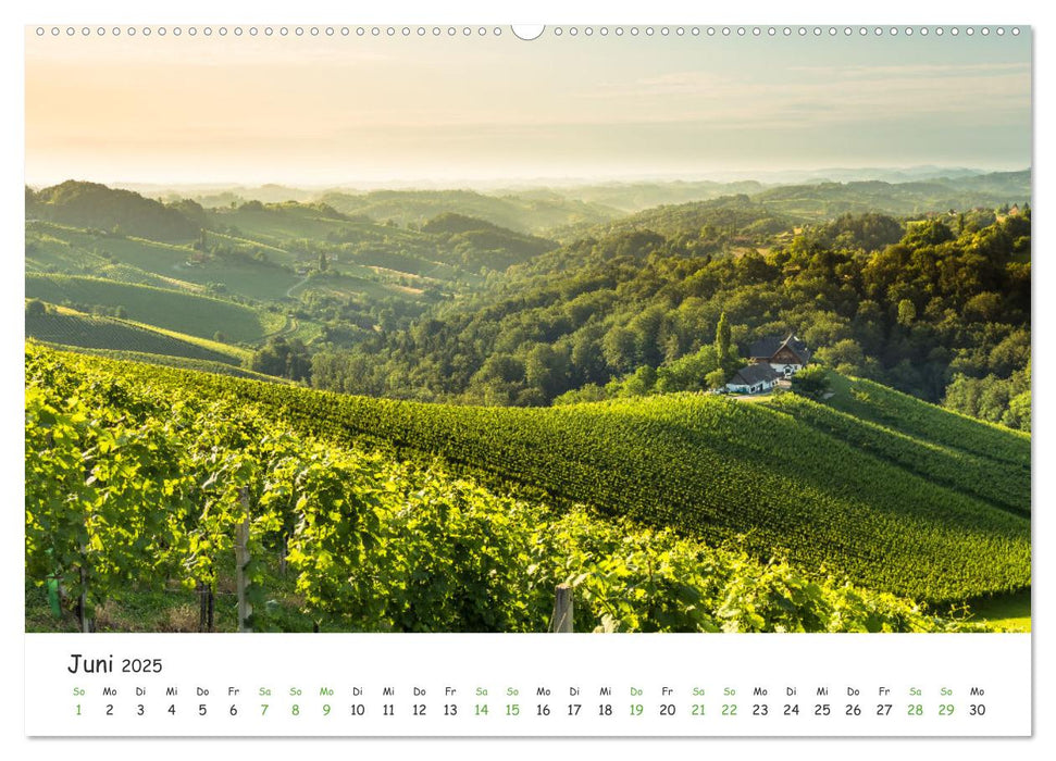 Südsteiermark365 (CALVENDO Premium Wandkalender 2025)