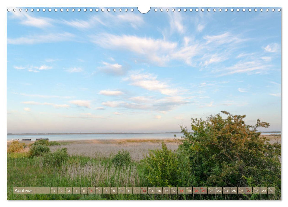 Dänemark - Jütlands Natur (CALVENDO Wandkalender 2025)